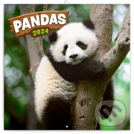 Poznámkový kalendár Pandas 2024, Notique, 2023