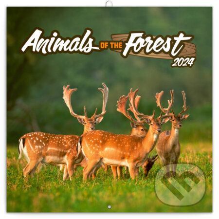 Poznámkový kalendár Animals of The Forest 2024, Notique, 2023