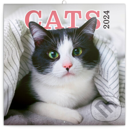 Poznámkový kalendár Cats 2024, Notique, 2023