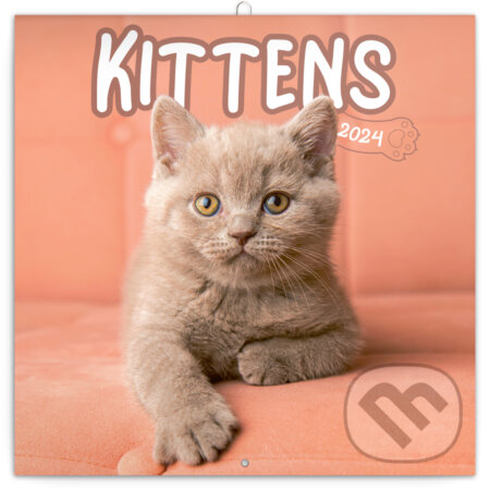 Poznámkový kalendár Kittens 2024, Notique, 2023