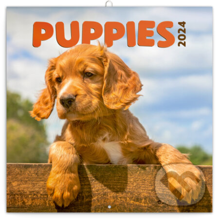 Poznámkový kalendár Puppies 2024, Notique, 2023