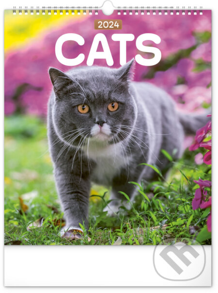 Nástěnný kalendář Cats 2024, Notique, 2023