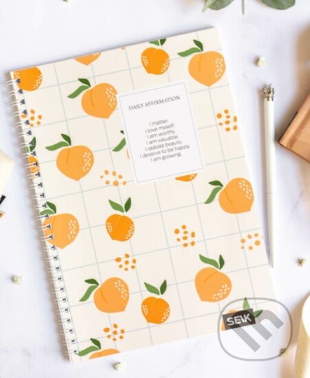 Zápisník - Daily affirmation (brožovaná, špirálová väzba)