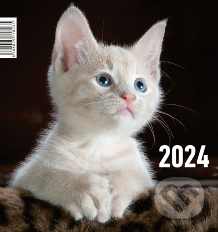 Mačička 2024, Form Servis, 2023