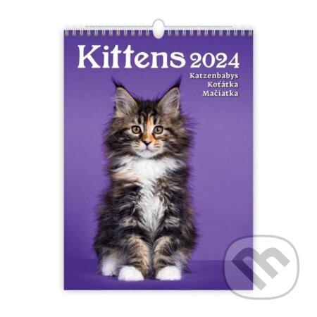 Kalendář nástěnný 2024 - Kittens/Katzenbabys/Koťátka/Mačičky, Helma365, 2023