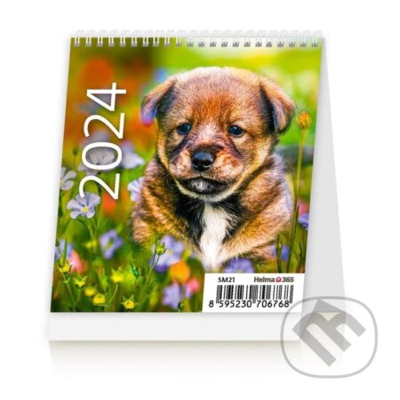 Kalendář stolní 2024 - Mini Puppies, Helma365, 2023