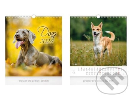Kalendář nástěnný malý: Dogs 2024, MFP, 2023