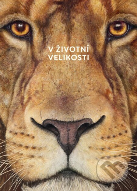 Africká zvířata (V životní velikosti) - Holger Haag, Lars Baus (ilustrátor) - kniha z kategorie Naučné knihy