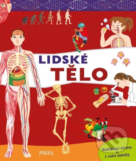 Lidské tělo - JM Claude, Raffaella Cosco (ilustrátor) - kniha z kategorie Naučné knihy
