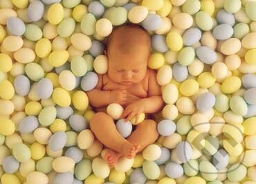 Dieťa vo vajíčkach - Anne Geddes, Schmidt