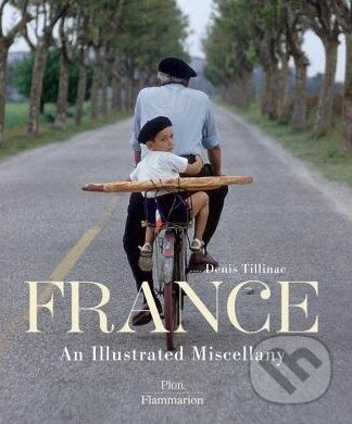 France - Denis Tillinac, Flammarion, 2015