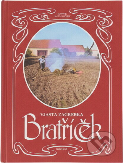 Kniha: Bratříček (Vlasta Javořická). Road, 1994