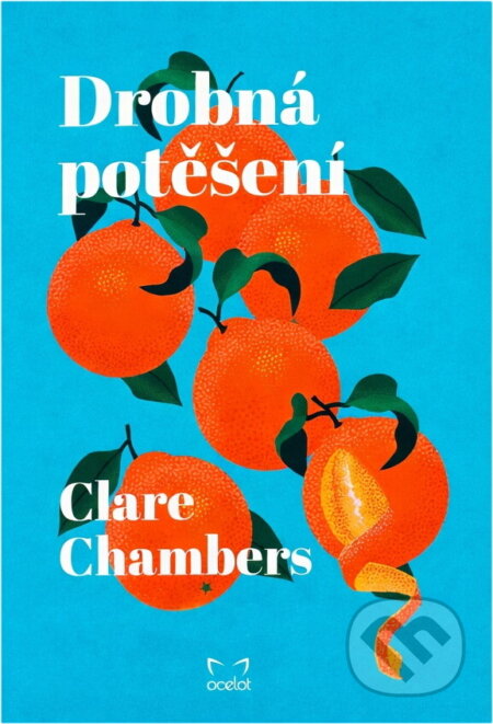 Kniha: Drobná potěšení (Clare Chambers). , 2022