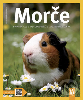 Morče - Katrin Behrendová - kniha z kategorie Chov hlodavců