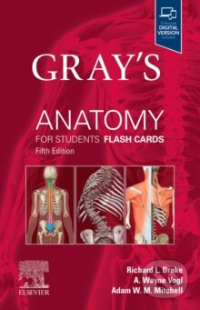 Gray&#039;s Anatomy for Students Flash Cards - Richard L. Drake, A. Wayne Vogl, Adam W.M. Mitchell, Elsevier Science, 2023