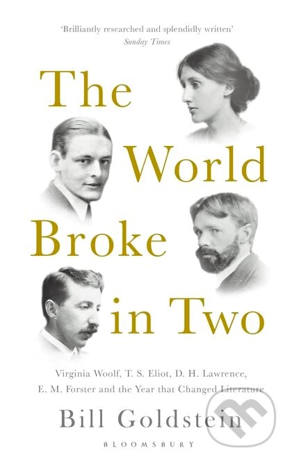 The World Broke in Two - Bill Goldstein, Bloomsbury, 2018