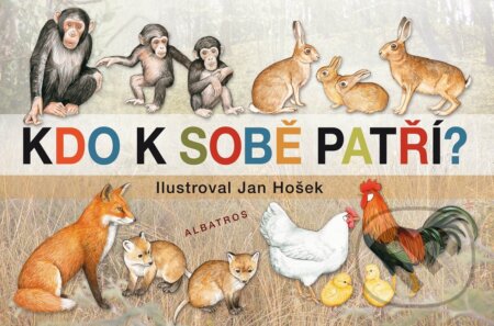 Kdo k sobě patří - Jana Mikulecká, Jan Hošek (ilustrátor) - kniha z kategorie Beletrie pro děti