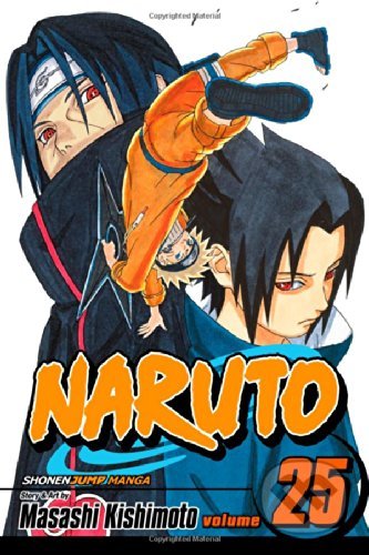 Naruto, Vol. 25: Brothers - Masashi Kishimoto, Viz Media, 2007
