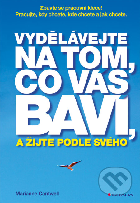 E-kniha: Vydělávejte na tom, co vás baví, a žijte podle svého (Marianne Cantwell)