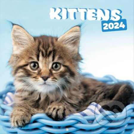 Oficiálny nástenný kalendár 2024 16 mesiacov Simon K. & Greg C.: Mačky, , 2023