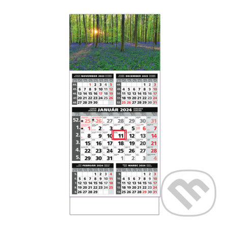 Štandard 5-mesačný sivý nástenný kalendár 2024 - les s kvetmi, Spektrum grafik, 2023
