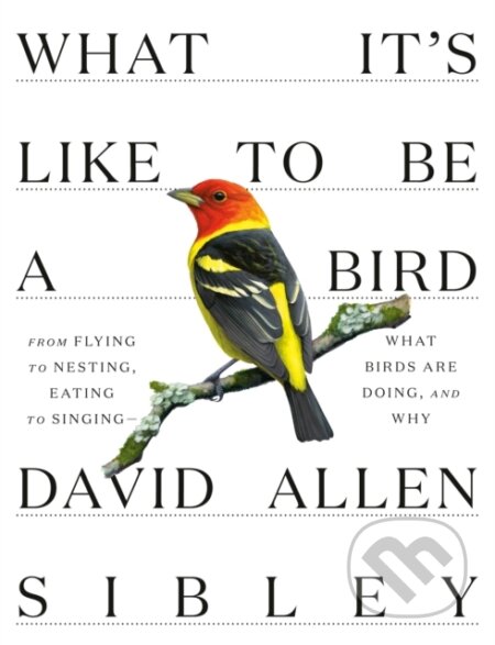What It&#039;s Like to be a Bird - David Allen Sibley, Albert Knopf, 2020