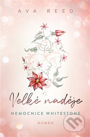 Velké naděje - Ava Reed - kniha z kategorie Romantická