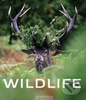 Wildlife - kniha z kategorie Omalovánky, vystřihovánky, papír