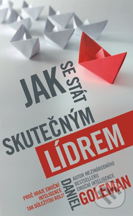 E-kniha: Jak se stát skutečným lídrem (Daniel Goleman)