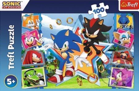 Sonic Seznamte se s ježkem (100 dílků) - puzzle z kategorie 60 - 300 dílků