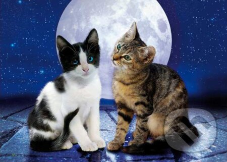 Cats in the Moonlight, Clementoni, 2016