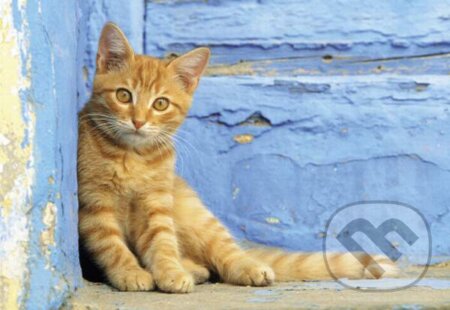 Ginger Cat, Clementoni, 2016