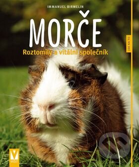 Morče (Roztomilý a vitální společník) - Immanuel Birmelin - kniha z kategorie Chov hlodavců