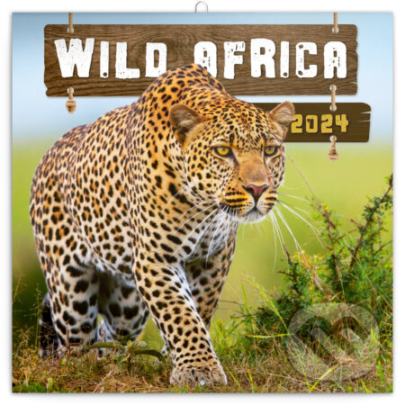 Poznámkový kalendář Wild Africa 2024, Notique, 2023