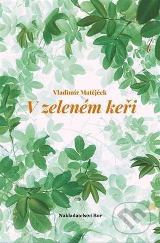 V zeleném keři - Vladimír Matějček - kniha z kategorie Poezie
