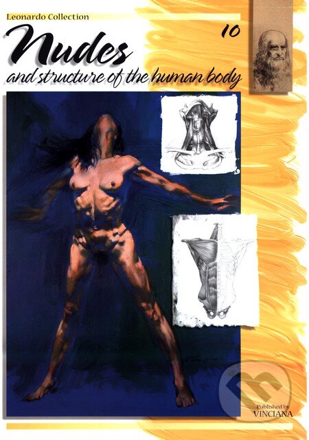 Nudes and structure of the human body, Vinciana