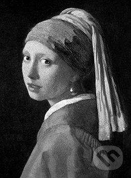 Vermeer - Ludwig Goldscheider - kniha z kategorie Malířství a sochařství