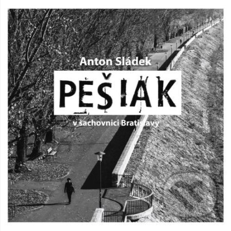 Pešiak - Anton Sládek, FO ART, 2023