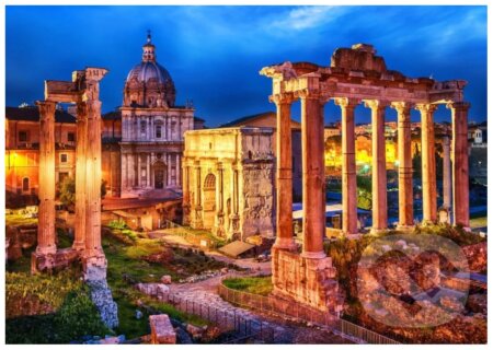 Roman Forum, Bluebird, 2024