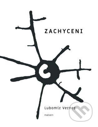 Zachycení - Lubomír Verner, Malvern, 2024
