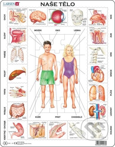 Puzzle: Puzzle Naše tělo (deskové) (Larsen). Larsen, 2024