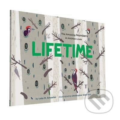 Lifetime