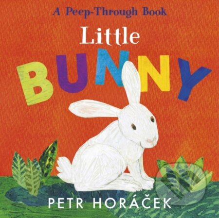 Little Bunny - Petr Horáček, Walker books, 2024