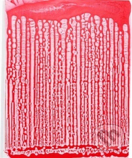 David Hanvald - Martin Dostál - kniha z kategorie Malířství a sochařství