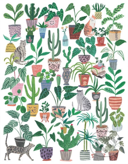 Mačky a rastliny - Miranda Sofroniou, Pieces & Peace
