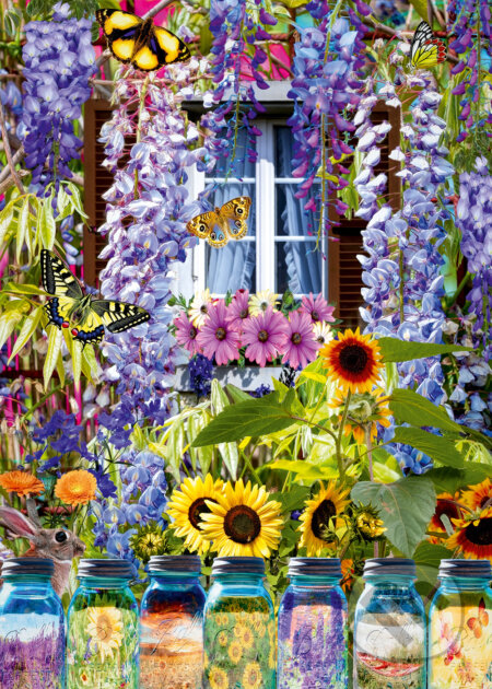 Zachytené spomienky