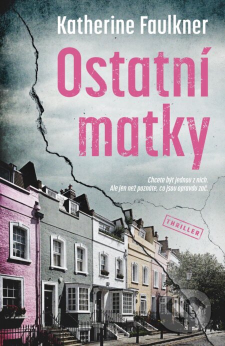 Ostatní matky (Chcete být jednou z nich. Ale jen než poznáte, co jsou opravdu zač.) - kniha z kategorie Detektivky, thrillery a horory