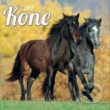 Kone 2017, Spektrum grafik, 2016