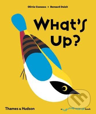 What's Up? - Bernard Duisit, Olivia Cosneau - kniha z kategorie Beletrie pro děti