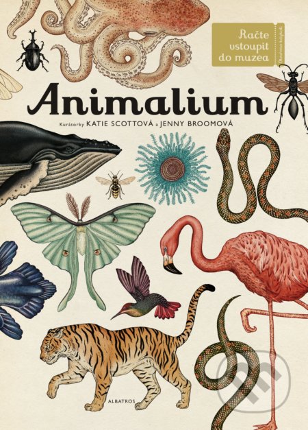 Animalium - Jenny Broom (ilustrátor), Katie Scott (ilustrátor), Albatros CZ, 2017